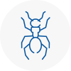 Ant Removals In Stoke Newington