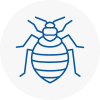Bed Bug Extermination In Stoke Newington