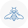 Bee Nest Removal Stoke Newington