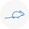 Mice Exterminators In Stoke Newington