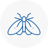 Moth Control Specialists In Stoke Newington