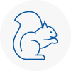 Stoke Newington Rodent Removals