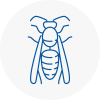 Stoke Newington Wasp Nest Removal